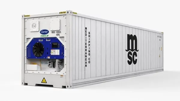 container refrigerado