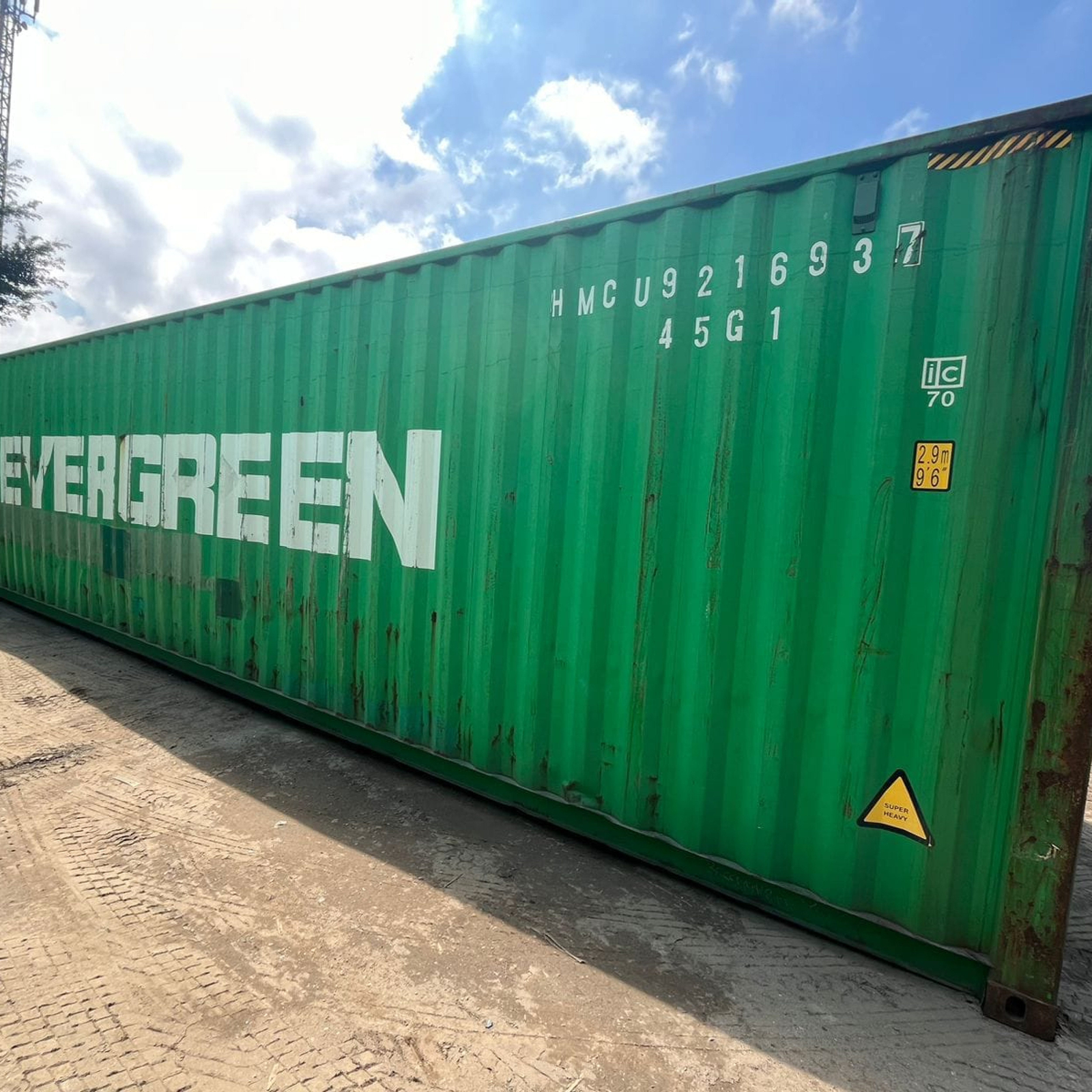 CONTAINER EVERGREEN