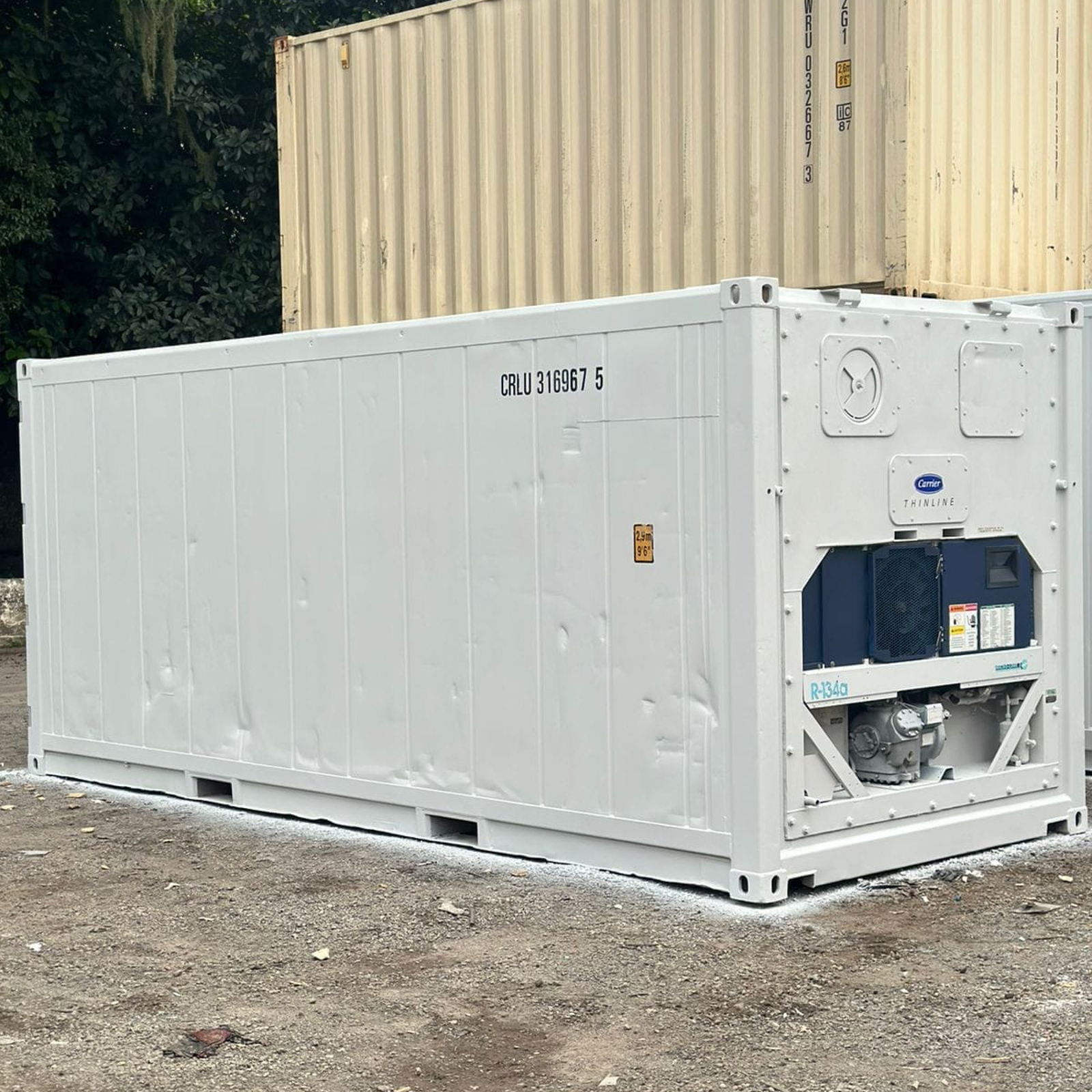 CONTAINER REFRIGERADO